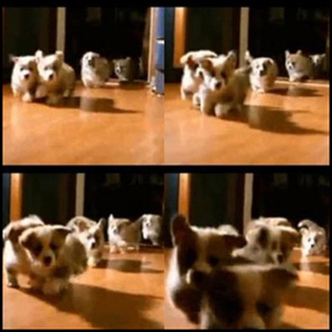 엄마가 장 봤을 때 