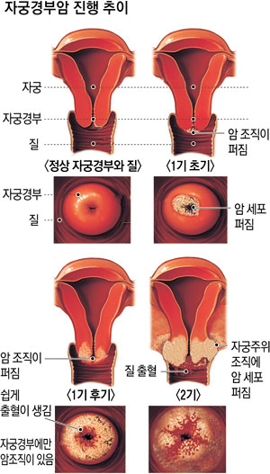 경부환경 이미지