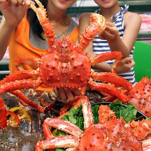 킹크랩 가격 폭락 사진. 연합뉴스