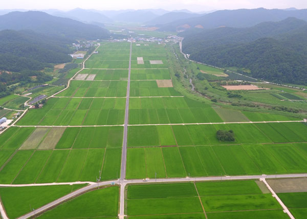 12일 대구공항과 K2공군기지 통합이전 유력 후보지 중 한 곳으로 거론되는 군위군 소보면 일대 들녘. 성일권 기자 sungig@msnet.co.kr. 드론 촬영