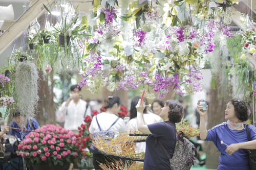 엑스코는 가정의 달인 5월을 맞아 전시와 박람회, 공연 등 다채로운 행사를 마련했다. 지난해 엑스코에서 열린 대구펫쇼, 뷰티엑스포, 꽃박람회 모습.