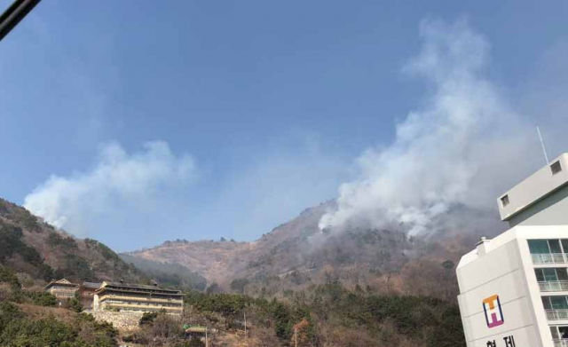 전국적으로 건조주의보가 발효된 26일 낮 12시 30분께 부산 사하구 승학산 8부 능선 3곳에서 동시에 방화로 추정되는 산불이 발생해 연기가 치솟고 있다. 연합뉴스