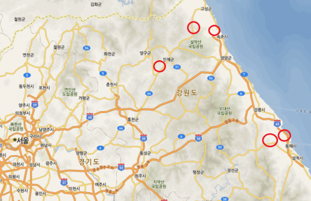 고성, 강릉, 속초 여행 및 일상생활 기록, 음식 이야기