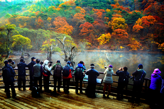 전국 사진작가들을 매료시키는 청송 주산지. 주산지는 청송 국가지질공원의 지질명소 중 하나다. 최근 청송 국가지질공원이 재인증되면서 2023년까지 법적 지위를 얻게 됐다. 매일신문 DB