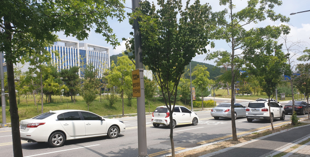 경북도청 신도시 중심가에서 도청 서문 방향으로 향하는 차들이 경북경찰청 앞 네거리에서 신호를 받고 줄지어 정차해 있다. 윤영민 기자
