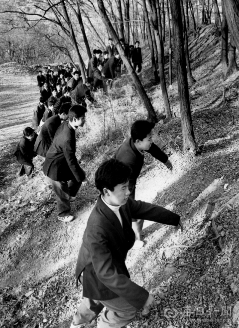 1991년 11월 18일 대구 성서지역 학생들이 실종 어린이들의 단서를 찾기 위해 와룡산 기슭을 오르며 수색하고 있다. 매일신문 DB