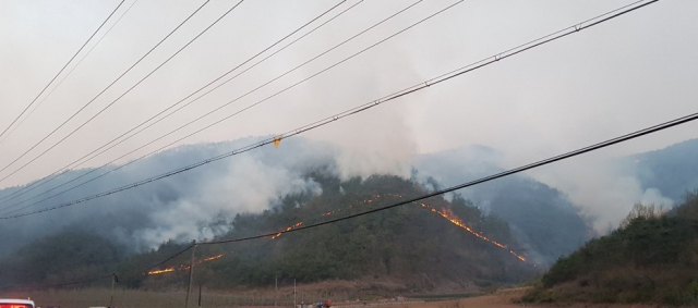 24일 경북 안동시 풍천면 인금리 한 야산에서 발생한 산불이 강풍으로 인해 급속도로 확산하고 있다. 안동소방서 제공