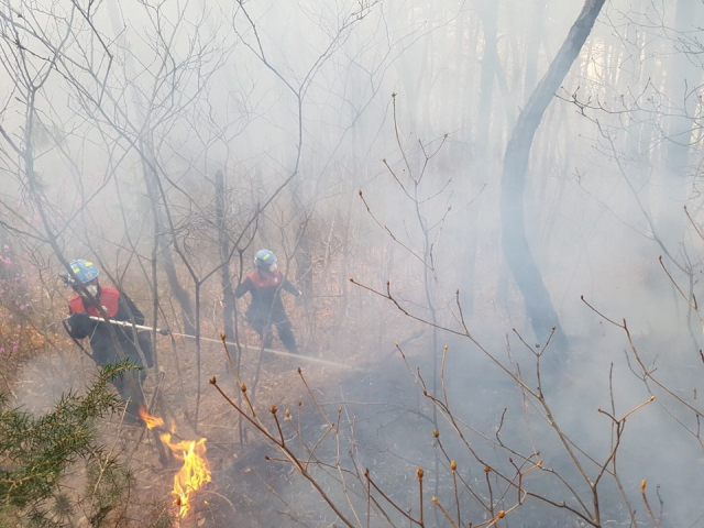 진화요원들이 경북 안동시 풍천면에서 발생한 산불의 확산을 막고자 작업하고 있다. 경북도 제공