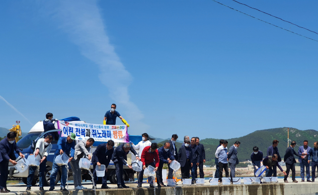 경상북도 수산자원연구원(원장 박성환)은 제8회 바다식목일을 맞아 8일 포항시 북구 송라면 화진2리 마을어장에서 수산종자 10만 마리(전복 5만, 쥐노래미 5만) 방류 행사를 가졌다. 경상북도 제공