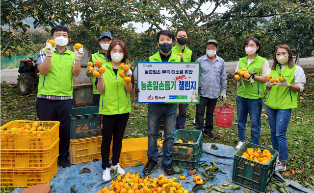농협 청도군지부 박기화 지부장과 직원들은 8일 각남면 옥산리에서 농촌일손돕기 릴레이 챌린지를 가졌다. 농협 청도군지부 제공
