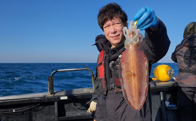 필자가 낚아올린 호피무늬 오징어