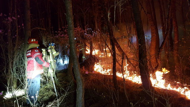 기사내용과 무관한 사진. 대구소방대원들이 산불을 진화하고 있는 모습. 대구소방안전본부 제공