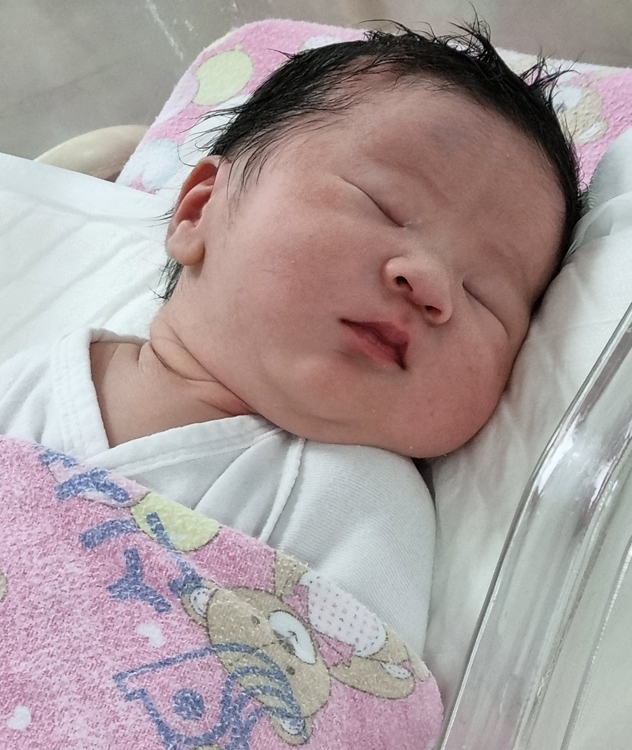 강리나 산모 아기