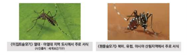 뎅기열은 뎅기 바이러에 감염된 숲모기에 물려 감염되며 현재 예방백신이나 치료제는 없다. 뎅기열 예방을 위해선 여행 전 국가 감염 예방수칙을 확인해야 하며 귀국 후 2주 이내 의심증상이 발생하면 신속히 의료기관을 방문해 진단과 치료를 받아야 한다. 질병관리청 제공.