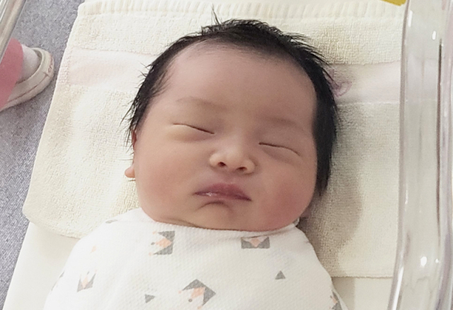정희정아가