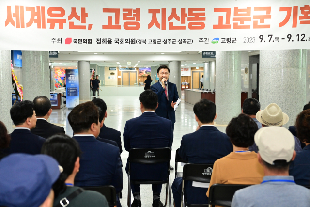 이남철 고령군수가 국회에서 열린 대가야고분군 활성화 학술세미나에서 모두발언을 하고 있다.고령군 제공