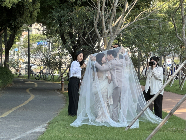 정부가 결혼식장, 결혼식장 가격 공개에 칼을 꺼낸 진짜 이유