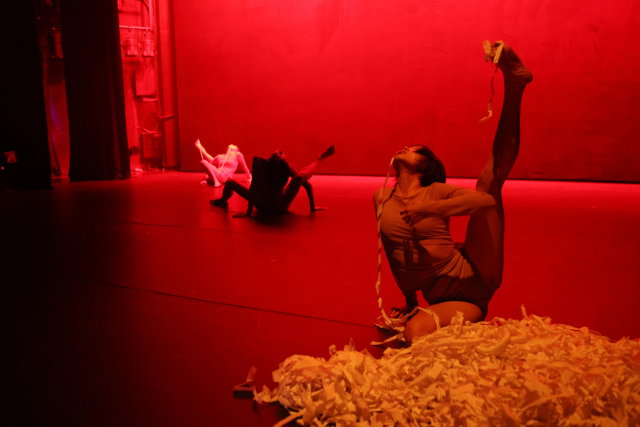 대구무용협회 전국 차세대 안무가전 공연 장면(안무 김민지)